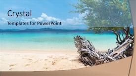  Presentation with banana palm - Amazing PPT theme having tropical beach on the banana backdrop and a light blue colored foreground