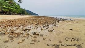  Presentation with gloomy - Audience pleasing PPT theme consisting of tropical-beach-under-gloomy-sky backdrop and a coral colored foreground