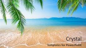  Presentation with fresh coconut juice decorated tropical - Colorful PPT layouts enhanced with tropical beach with coconut palm backdrop and a coral colored foreground
