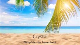 Presentation with palm beach - Amazing PPT layouts having tropical-beach-with-coconut-palm backdrop and a lemonade colored foreground
