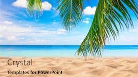  Presentation with palm beach - Slides featuring tropical-beach-with-coconut-palm background and a lemonade colored foreground