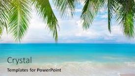  Presentation with palm beach - Cool new presentation with tropical-beach-with-coconut-palm backdrop and a teal colored foreground