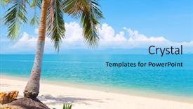  Presentation with palm beach - Slide set enhanced with make up wearing blue medical background and a gray colored foreground