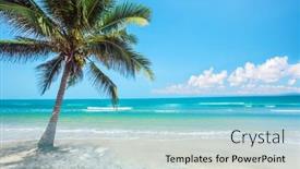  Presentation with palm tree - Presentation design having tropical-beach-with-coconut-palm background and a seafoam green colored foreground