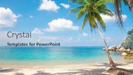 Presentation with coconut tree - Presentation featuring tropical-beach-with-coconut-palm background and a light blue colored foreground
