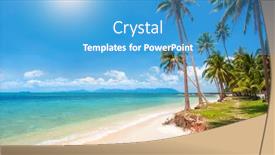  Presentation with coconut tree - Cool new presentation design with tropical-beach-with-coconut-palm backdrop and a teal colored foreground