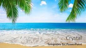  Presentation with coconut - 