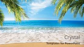  Presentation with coconut - 