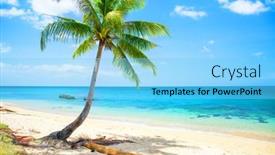  Presentation with coconut - 