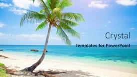  Presentation with coconut - Amazing theme having tropical beach with coconut palm backdrop and a light blue colored foreground