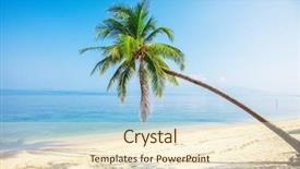  Presentation with fresh coconut juice decorated tropical - Cool new PPT theme with tropical beach with coconut palm backdrop and a cream colored foreground