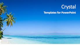  Presentation with palm beach - Audience pleasing PPT layouts consisting of tropical beach with coconut palm backdrop and a gray colored foreground
