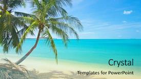  Presentation with palm beach - Audience pleasing theme consisting of tropical beach with coconut palm backdrop and a cyan colored foreground