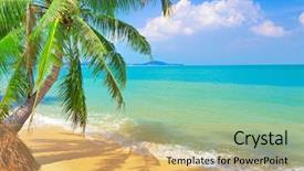  Presentation with fresh coconut juice decorated tropical - Audience pleasing presentation theme consisting of tropical beach with coconut palm backdrop and a yellow colored foreground