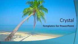  Presentation with palm beach - PPT layouts enhanced with tropical beach with coconut palm background and a light blue colored foreground