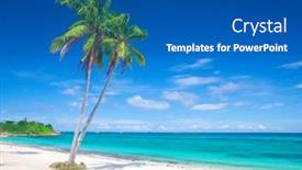  Presentation with coconut - 