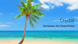  Presentation with palm beach - Cool new theme with couple of bullets on a white background ammunition of rifled carabine note soft focus at 100 best at smaller sizes backdrop and a mint green colored foreground