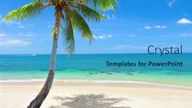  Presentation with palm beach - Audience pleasing theme consisting of tropical-beach-with-coconut-palm backdrop and a teal colored foreground