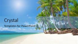  Presentation with palm beach - Slides consisting of tropical beach with coconut palm background and a light blue colored foreground