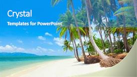 Presentation with palm beach - PPT layouts consisting of tropical beach with coconut palm background and a teal colored foreground
