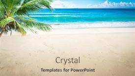  Presentation with palm leaves - Colorful presentation theme enhanced with tropical-beach-with-palm-leaves backdrop and a lemonade colored foreground