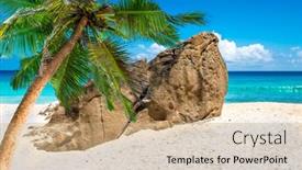  Presentation with palm leaves - Audience pleasing presentation design consisting of tropical-beach-with-palm-leaves backdrop and a coral colored foreground