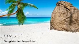  Presentation with palm leaves - Theme enhanced with tropical-beach-with-palm-leaves background and a sky blue colored foreground