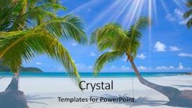  Presentation with beach palm tree wedding - Amazing slide set having tropical beach with palm tree backdrop and a light blue colored foreground