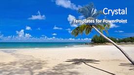  Presentation with palm beach - PPT layouts with tropical beach with palm tree background and a cobalt blue colored foreground