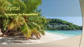  Presentation with turquoise beach - Slide deck featuring tropical-beach-with-palm-trees background and a tawny brown colored foreground