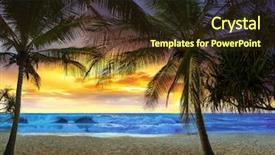  Presentation with tropical beach sunset - Audience pleasing PPT theme consisting of tropical beach with palm trees backdrop and a tawny brown colored foreground