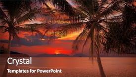  Presentation with beach palm tree wedding - PPT layouts consisting of tropical beach with palm trees background and a tawny brown colored foreground