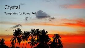  Presentation with tropical beach sunset - Beautiful slides featuring tropical beach with palm trees backdrop and a light blue colored foreground