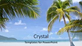  Presentation with palm beach - PPT layouts featuring tropical beach with palm trees near blue sea exotic summer vacation background and a light blue colored foreground