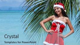  Presentation with tropical christmas - Cool new slide deck with tropical beach with palm backdrop and a light blue colored foreground