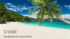  Presentation with turquoise beach - Amazing presentation theme having tropical beach with palm and turquoise sea backdrop and a sky blue colored foreground