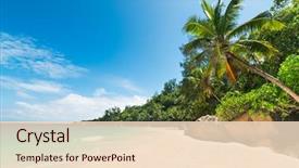  Presentation with turquoise beach - Audience pleasing PPT theme consisting of tropical beach with palm backdrop and a lemonade colored foreground
