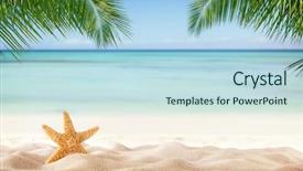  Presentation with relaxation - Amazing presentation having tropical beach with sea-star backdrop and a light blue colored foreground