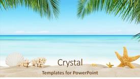  Presentation with tropical holiday - PPT layouts enhanced with tropical beach with sea star background and a lemonade colored foreground