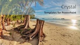  Presentation with tropical beach sunset - Presentation featuring tropical-beach-with-tree-trunks background and a light blue colored foreground