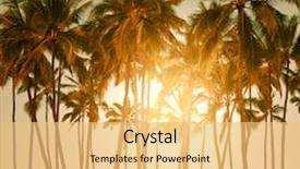  Presentation with tropical - PPT theme consisting of tropical beach background and a yellow colored foreground