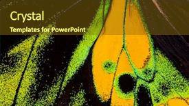  Presentation with yellow green - Cool new PPT layouts with tropical birdwing butterfly ornithoptera goliath backdrop and a tawny brown colored foreground