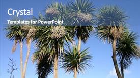  Presentation with climate - Presentation theme enhanced with tropical climate - palm trees st ives cornwall background and a  colored foreground