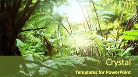  Presentation with hawaii - PPT theme featuring tropical climate - rain forest in hawaii background and a tawny brown colored foreground