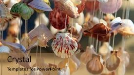  Presentation with sea shell - Presentation design consisting of tropical collage - sea shell curtain selective focus background and a coral colored foreground