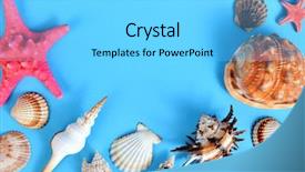  Presentation with sardines school in blue sea - Presentation theme having tropical conch shells with starfish background and a  colored foreground
