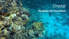  Presentation with coral reef - Presentation theme featuring tropical-coral-reef-ecosystem background and a ocean colored foreground
