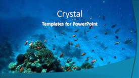  Presentation with coral reef - Presentation design consisting of tropical-coral-reef-ecosystem background and a ocean colored foreground