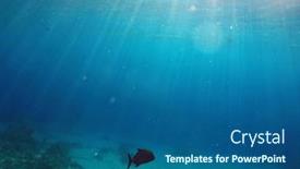  Presentation with coral reef - Colorful slide set enhanced with tropical-coral-reef-ecosystem backdrop and a ocean colored foreground