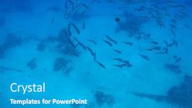  Presentation with coral reef - Colorful slide set enhanced with tropical-coral-reef-ecosystem backdrop and a gray colored foreground